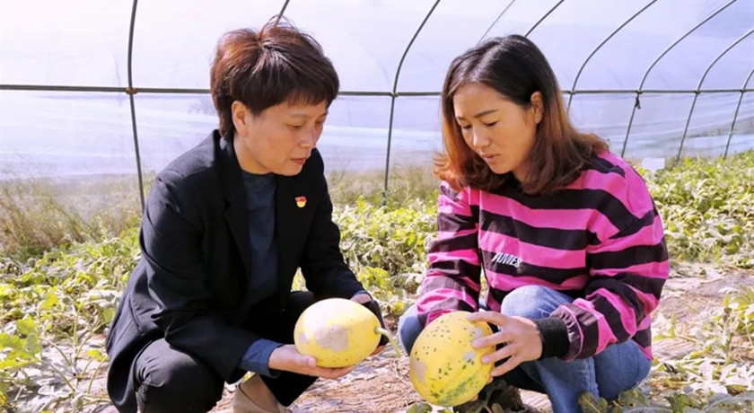 奚明芳：勤恳做事，真诚为民的乡村振兴“带头人”